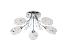 267013705 3500�.jpg