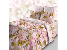 3866-2 ��� �������� ���� ���� ��������.jpg