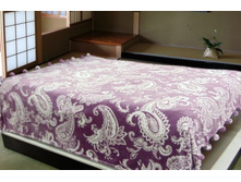 080 ��������� ������