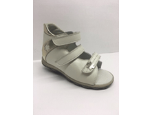 56*775 ����� /������, ����� ��������.png