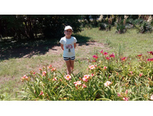 ����� �����