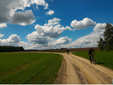 P 20170603 114810.jpg