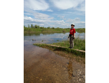 IMG 20170610 111550.jpg