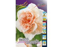 50,22���. ������� ������ ��������(�������� ���� �� 5 ��.) �������� 1 ��..jpg