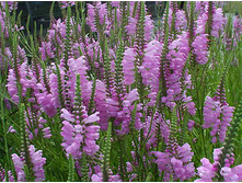 ���������� ����������.jpg