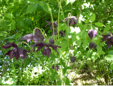 P1060309.JPG ���������