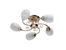 677011805 1800�.jpg