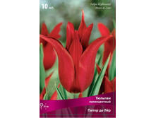 ������� ����� �� ���.jpg