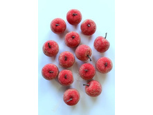 ������ ������������, �������.