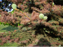 ������� ��������...