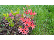 P 20170604 092301.jpg