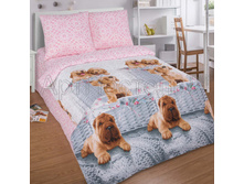 ������ ����.jpg