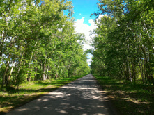 P 20170603 095556.jpg