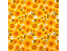 970 ���. - ������� �������� ��� �� �������� ������ "�������", 1,3�25�, ���.927/5