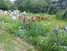20150614 132014.jpg