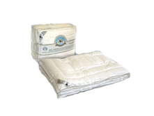 ������  ������, �����  � ������������ �� ��������� ����.png