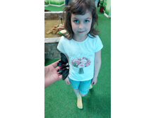 IMG 20170610 161641.jpg