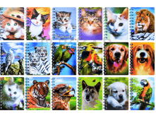 ���-���� ���-�� 21,99 ���. � 3D ����-���� 100 ��-����, 14 �� 10 ��. ��� 12 ��..png