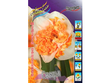 62,1���. ������� �����(�������� ���� �� 5 ��.) �������� 2 ��..jpg