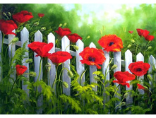 ������� ���� - 38 �� 27