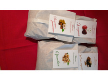 �������� ���������� �������