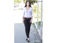 ����� OD-035.1