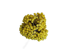 ������ �� ������� ��������, ������ (���� �� ��������, 400 ����).