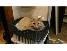 ����� � ������ 1