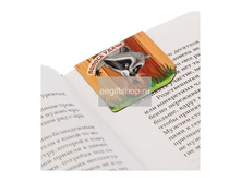 ���. ���� ��������. ����� ������ �� ���������.jpg