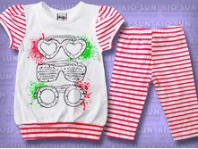 D-7117. 480 ���.