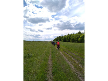 IMG 20170610 115105.jpg