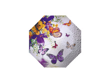 231208 FJ_1184 ���