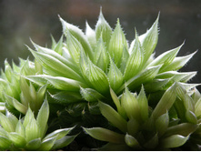 �������� ������