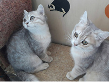 18870146 1366022546768427 1996160451 o.jpeg