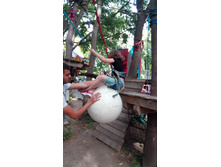 IMG 20170605 165024.jpg