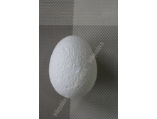 ���� ������������� 7-5,5 �� 19�.