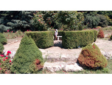 � ��� ����