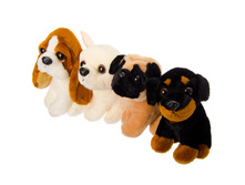 200 ���. - ������� "����� �����", ���������, 17��, 4 �������