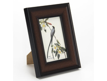 100 ���. - ���������, �������, 10�15��, ���.1811/8