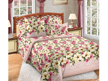 �������� ���� �������.jpg