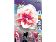 42,06���. ������� ���� ��������(�������� ���� �� 5 ��.) �������� 3 ��..jpg