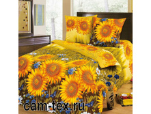 �������� wejh-gp.jpg