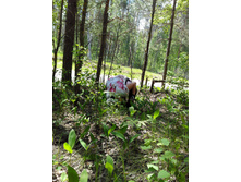 IMG 20170612 112322.jpg