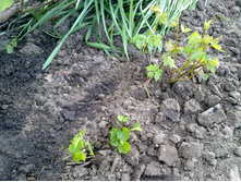 �������� ������ ������� (1).jpg