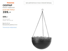 ������ 8033868.jpg