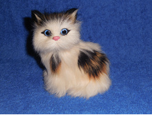 ������� �� ���� �������, 50 ��� ��� �����