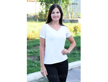 ����� PL2-505