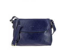 87825 -blue ���� 2520 ��.JPG