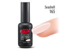 165 Seashell.jpg