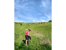 IMG 20170610 162848 HDR.jpg